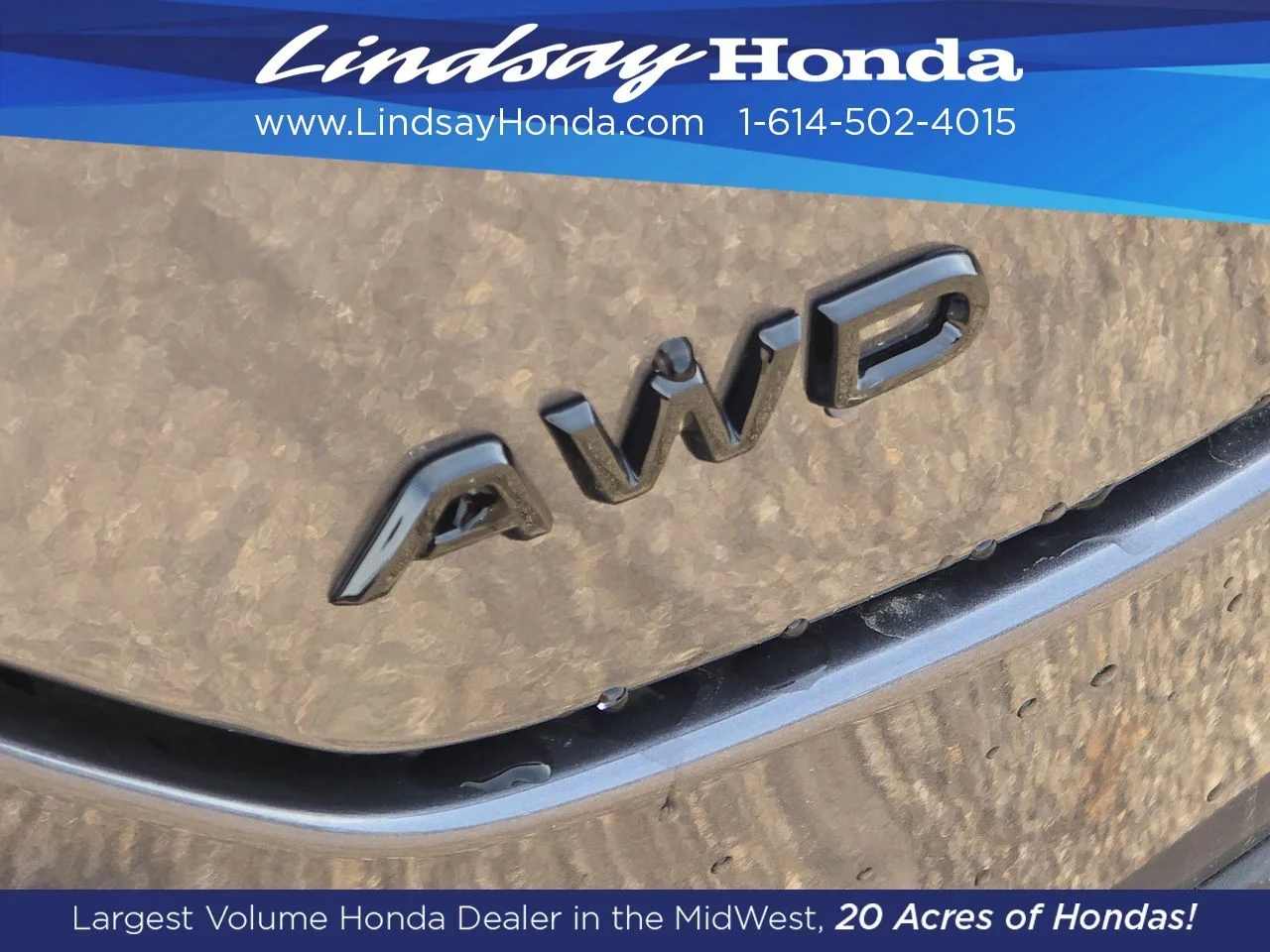 New 2026 Modern Steel Metallic Honda Elite image 14