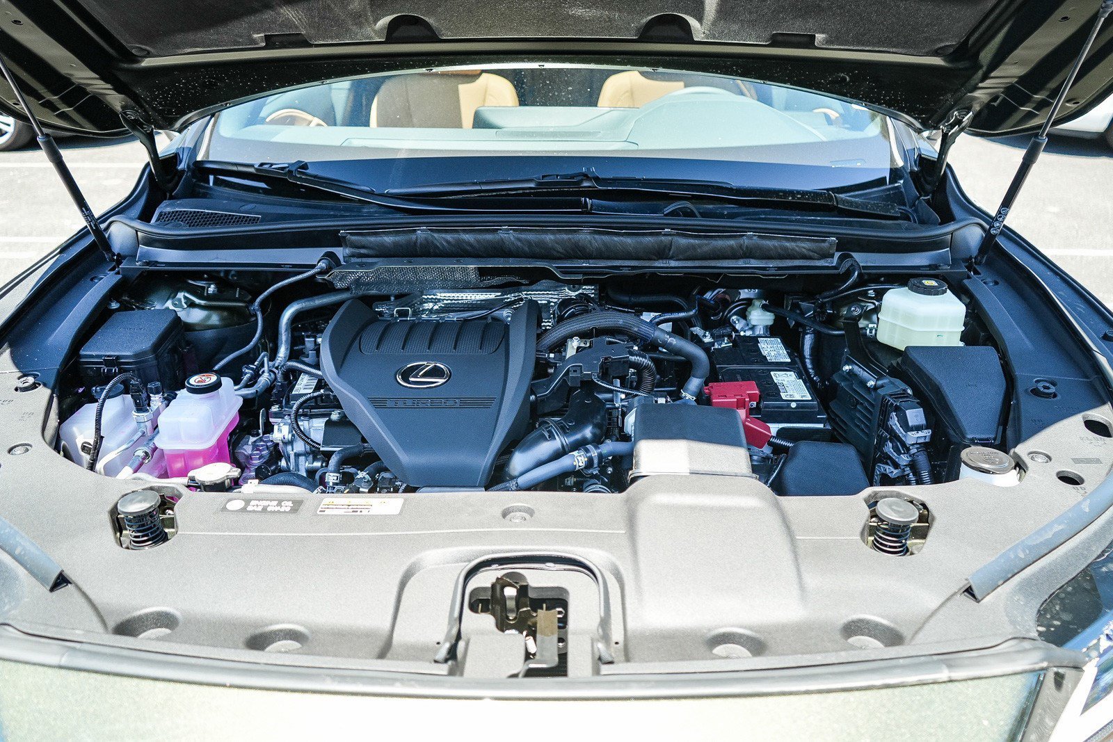 New 2026 Nori Green Pearl Lexus  350 PREMIUM image 26