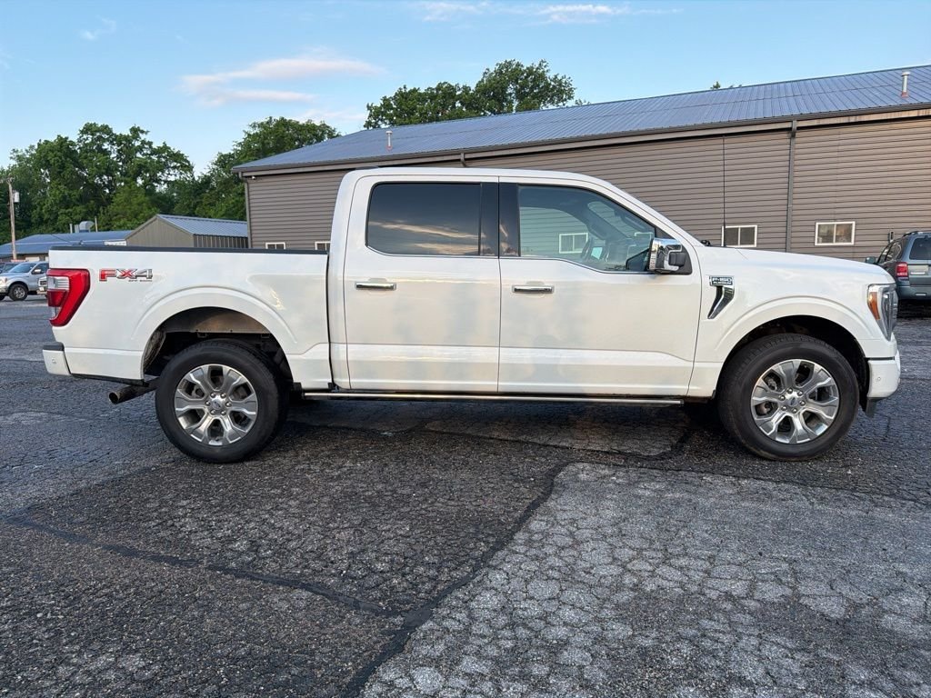 2023 Ford F-150 Platinum - Photo 8