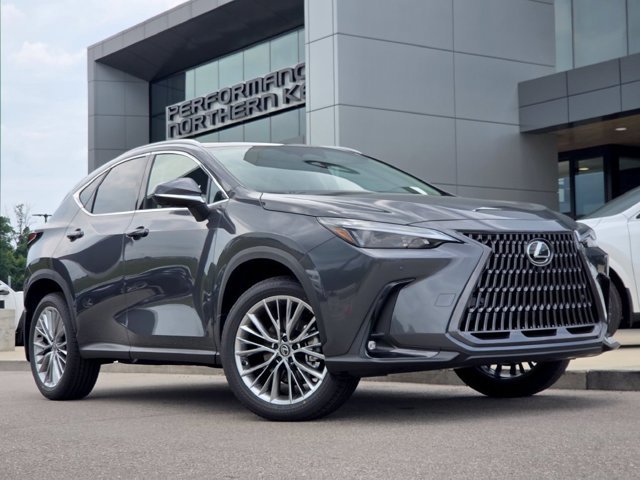 New 2026 Cloudburst Gray Lexus PREMIUM image 9