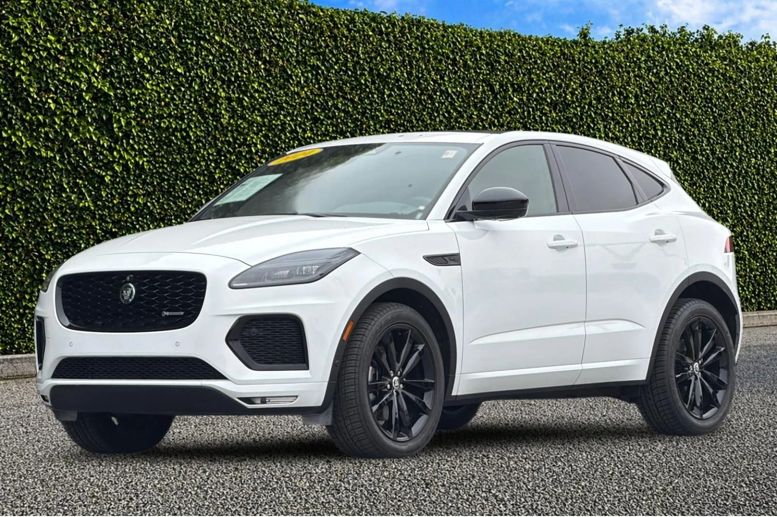 Used 2024 White Jaguar P250 image 8