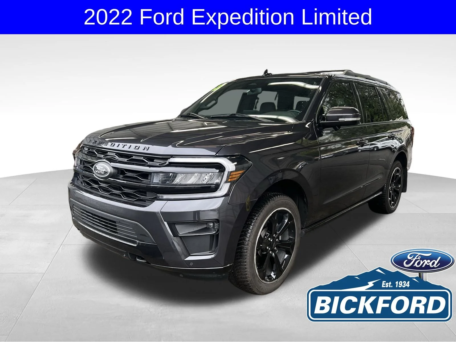 2022 Ford Expedition Limited 4X4's photo