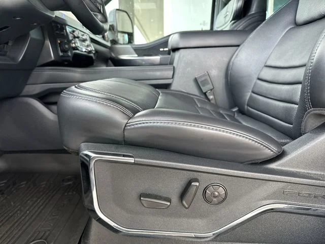 Used 2025 Gray Ford Platinum image 13