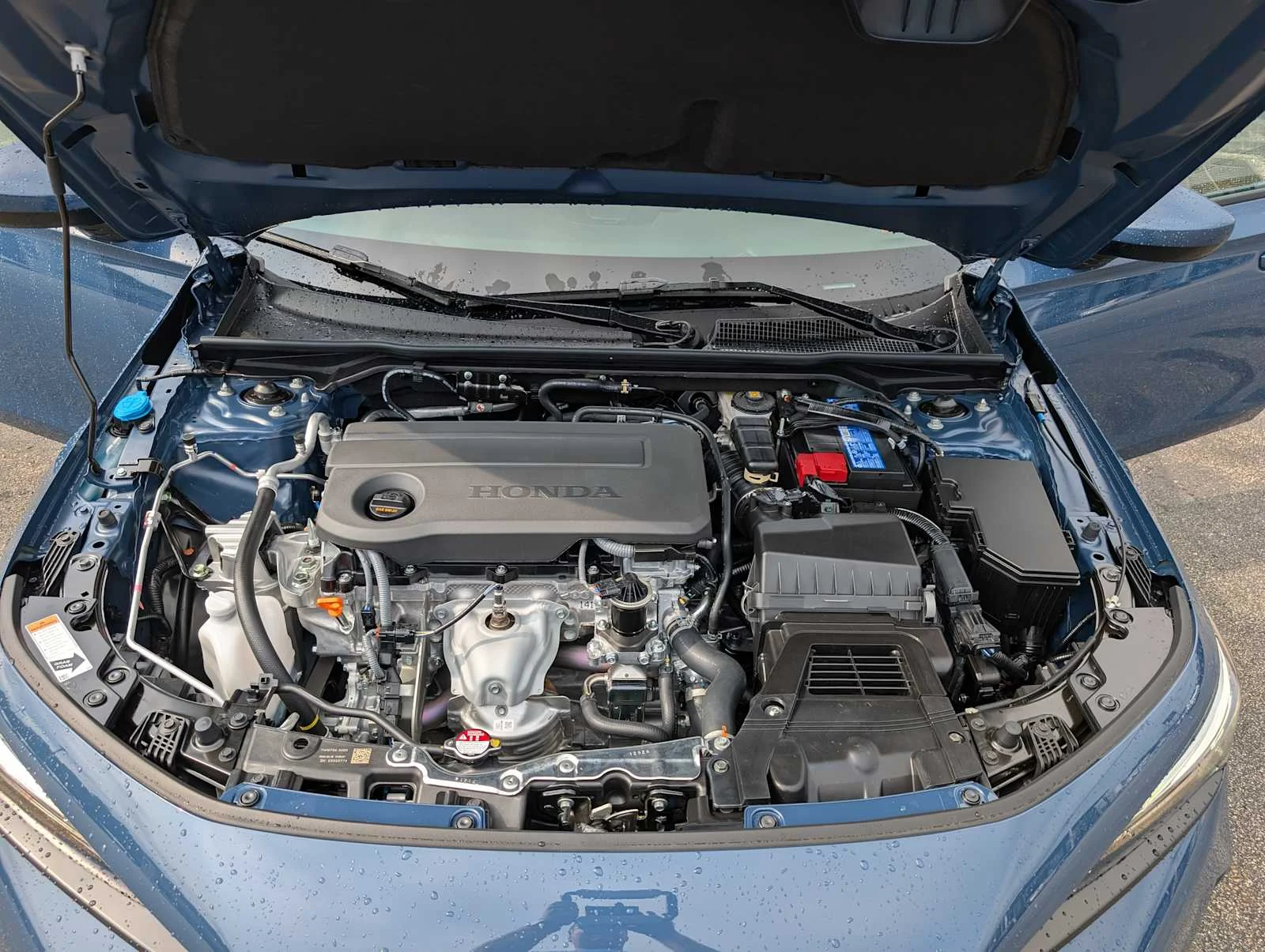 New 2026 Blue Lagoon Pearl Honda LX image 11