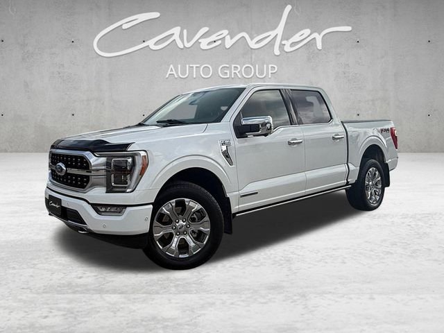 2023 Ford F-150 Platinum 4x4 SuperCrew 5-1/2 Box's photo