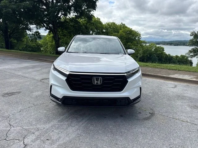 Used 2025 White Honda EX-L image 2