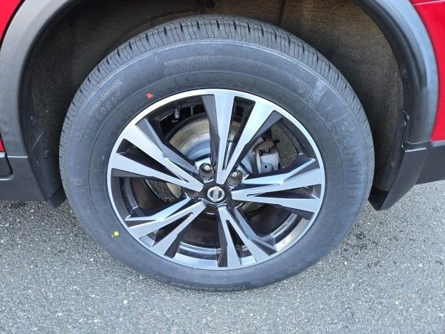 Photo 41