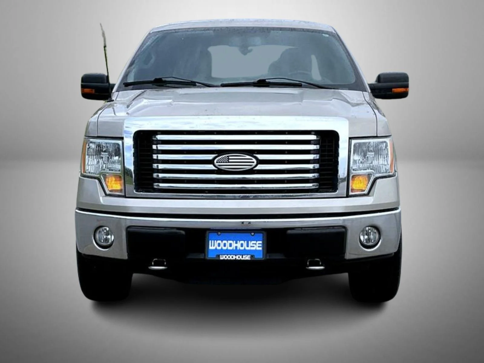 Used 2010 Gold Ford XLT image 2