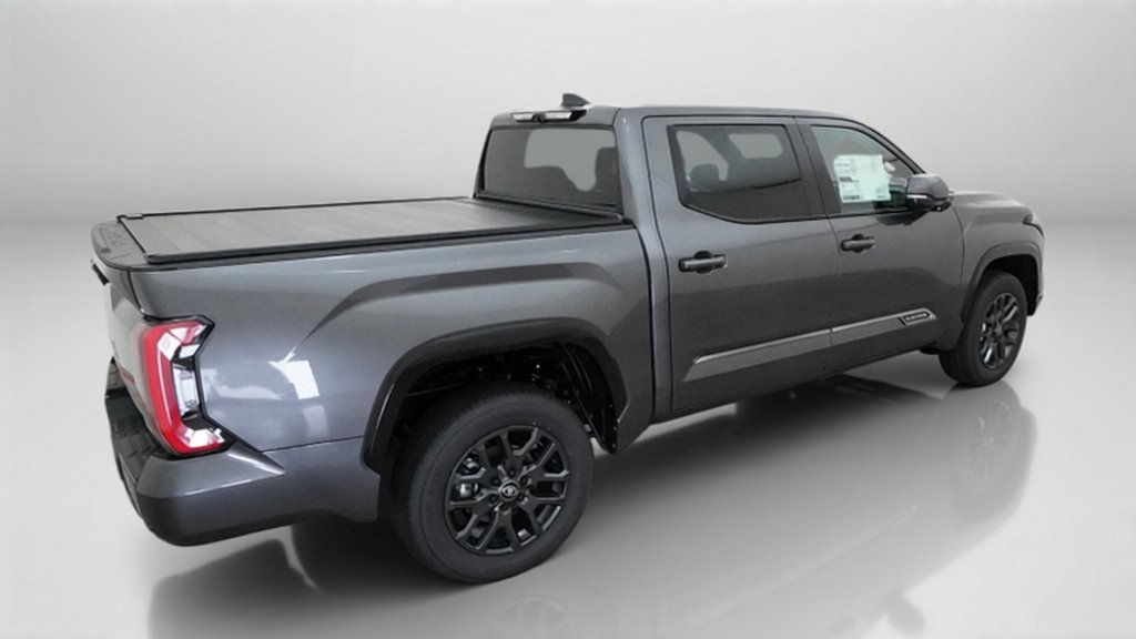 New 2026 Magnetic Gray Metallic Toyota Platinum image 39