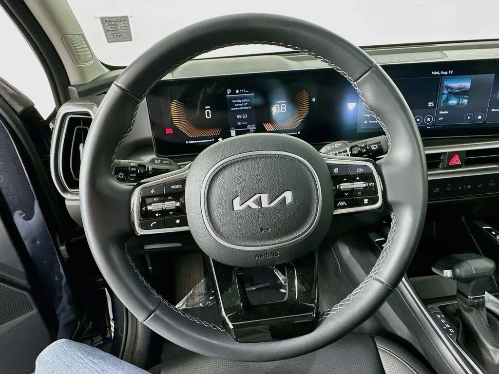 Used 2025 Panthera Metal Kia EX image 12