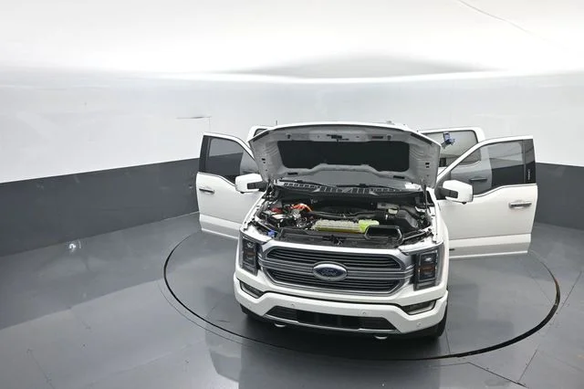 Used 2023 Star White Ford Limited image 43