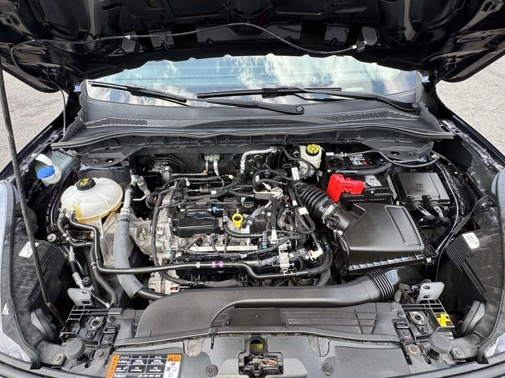 Used 2021 Blue Ford S image 12