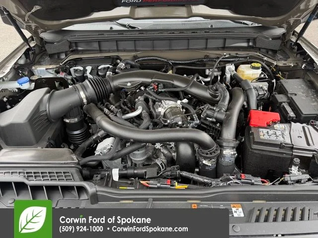 New 2025 Marsh Gray Ford Raptor image 32