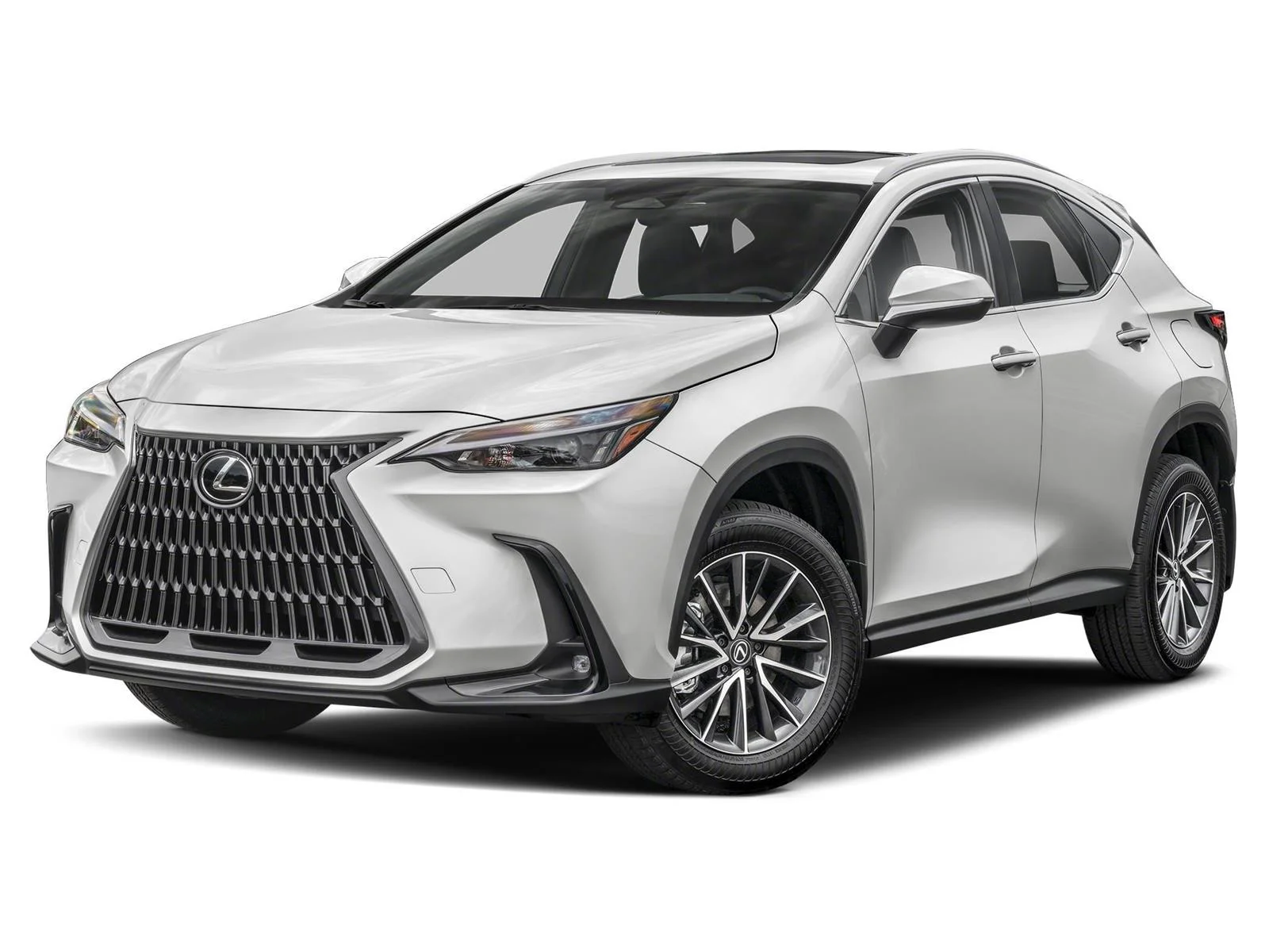 2025 Lexus NX 350h 350h Premium AWD's photo