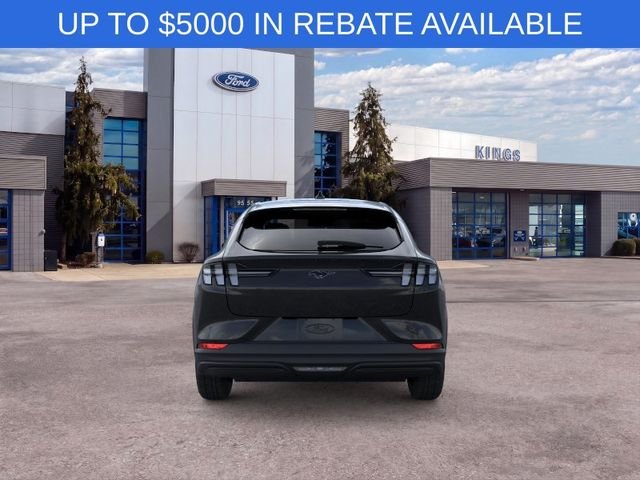 New 2026 Shadow Black Ford Premium image 5