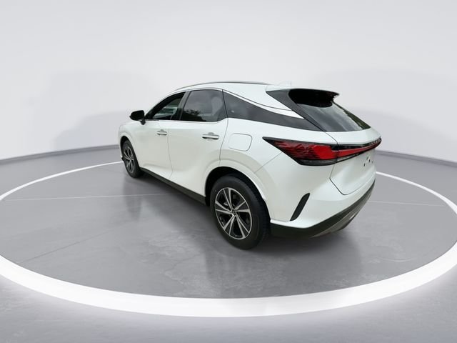 2024 Lexus RX 350 - Photo 6