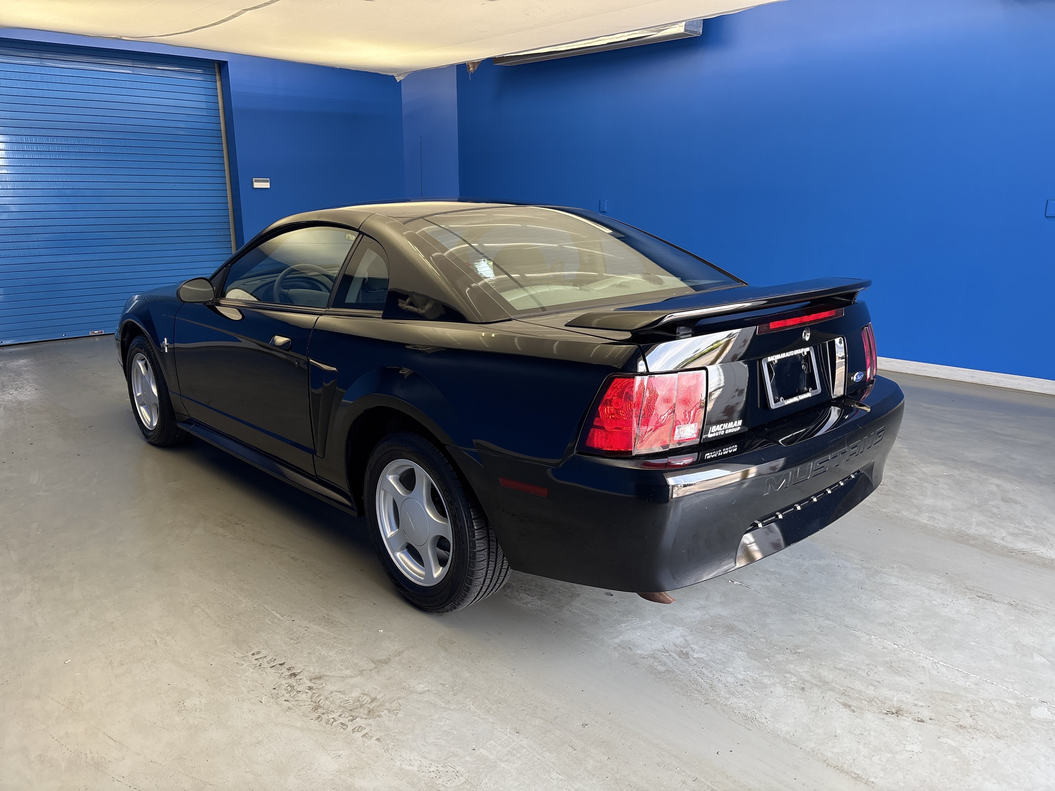 Used 2003 Black Ford Standard image 5