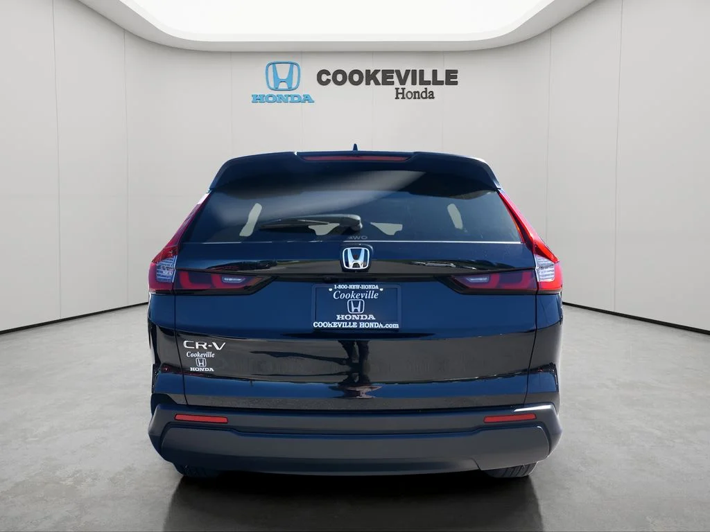 Used 2024 Black Honda EX image 5