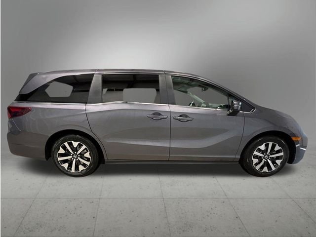 New 2026 Modern Steel Metallic Honda EX-L image 7