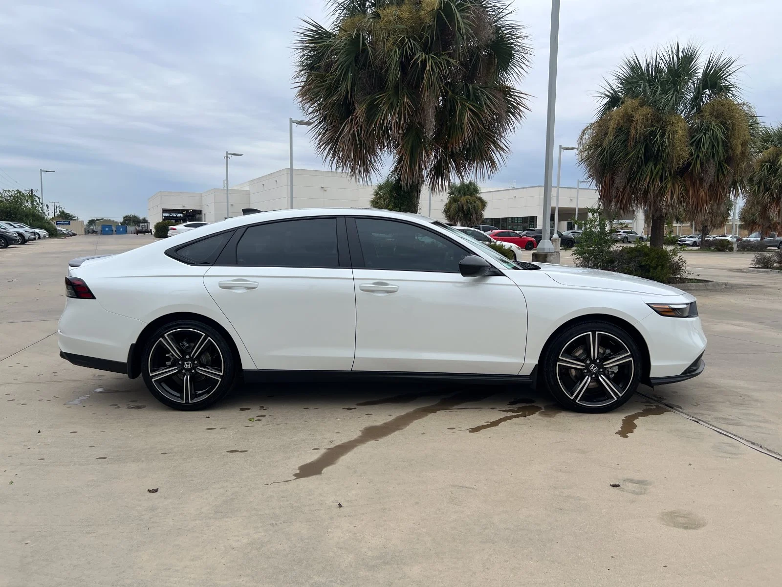 New 2026 Platinum White Pearl Honda Sport image 7