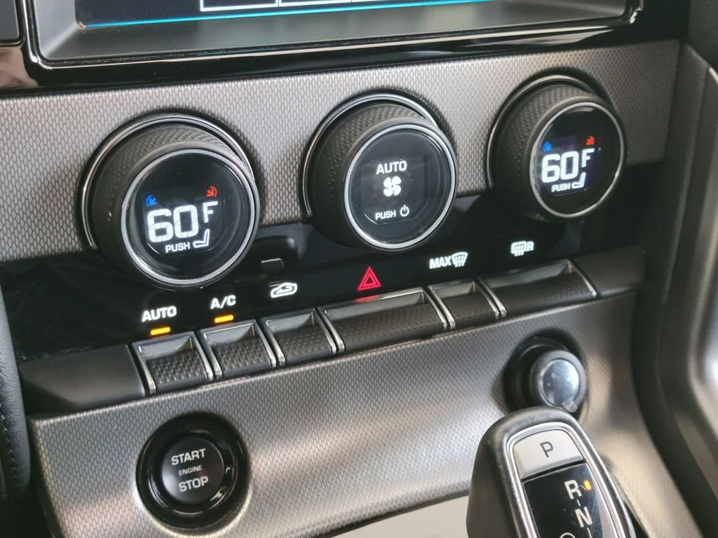 Used 2017 Black Jaguar Base image 21