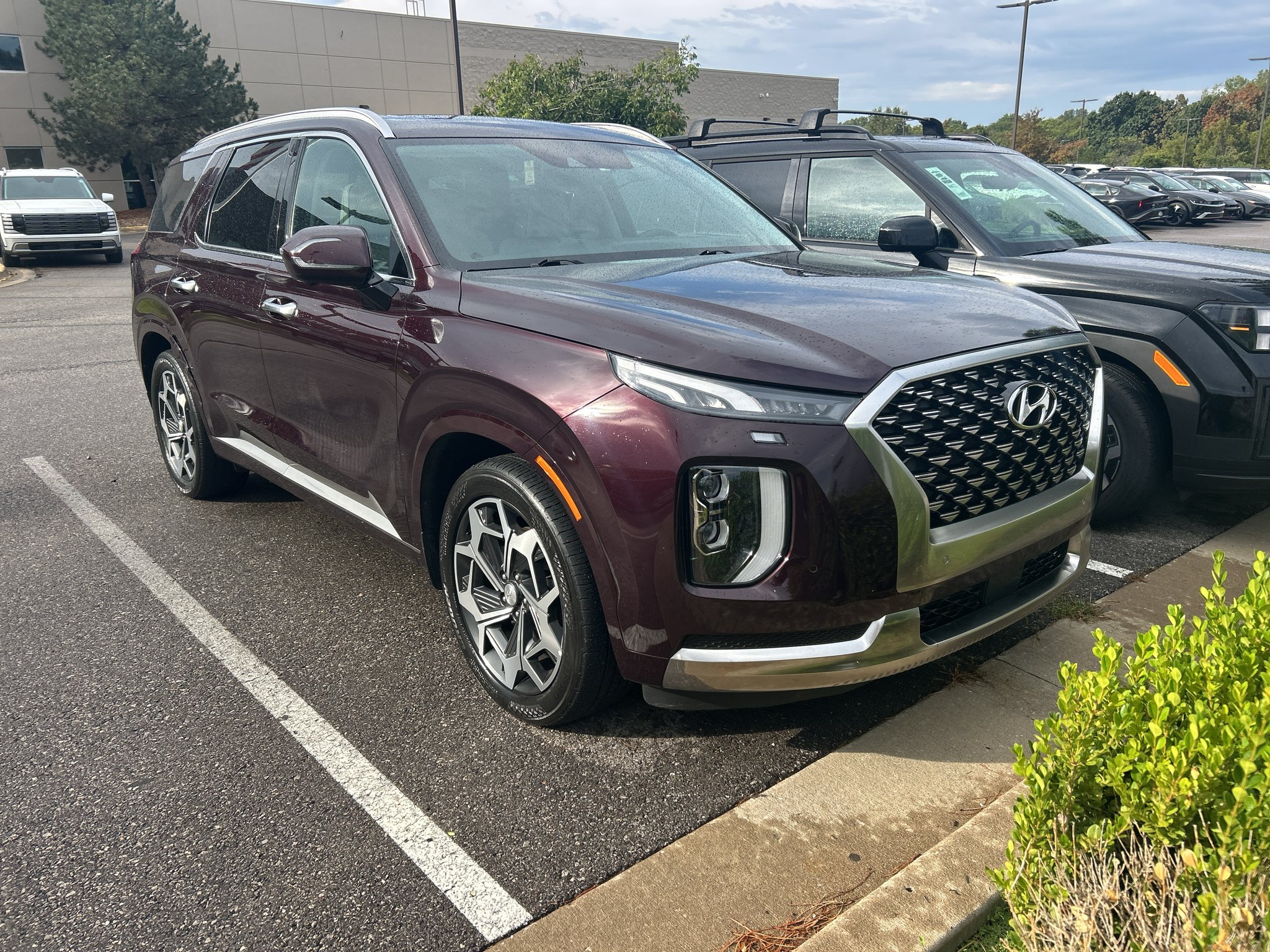 Used 2022 Maroon Hyundai Calligraphy image 7