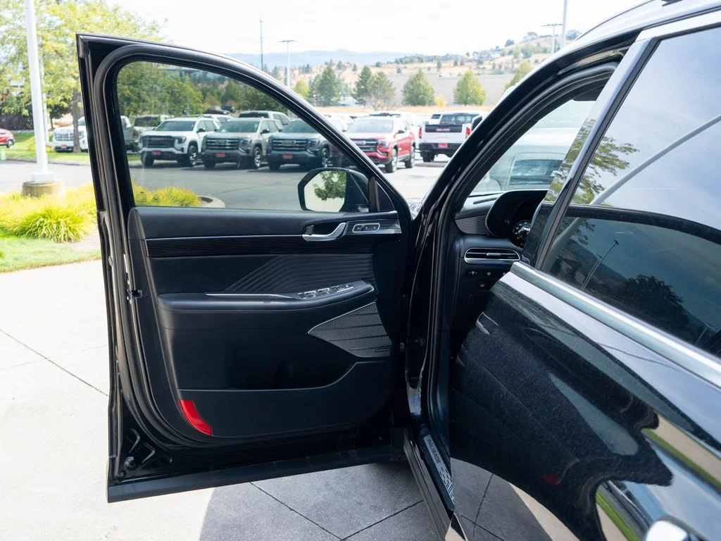 Used 2023 Black Hyundai Calligraphy image 19