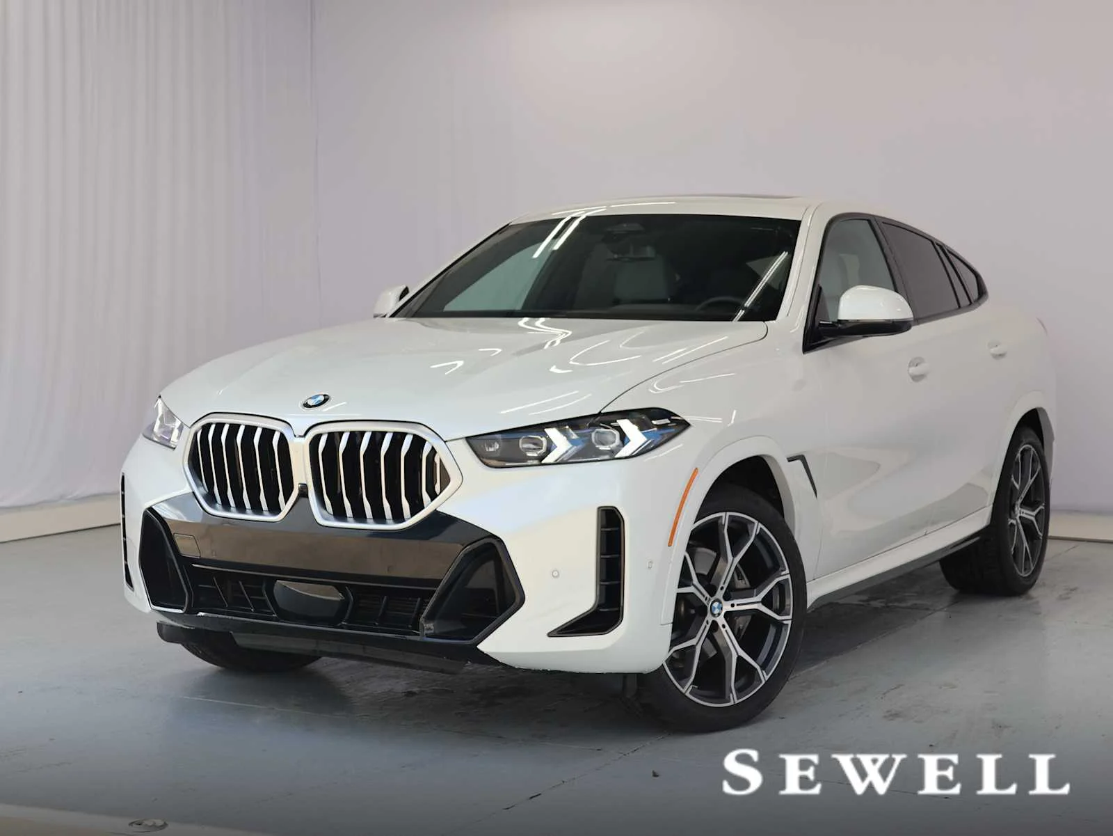 2026 BMW X6 xDrive40i's photo
