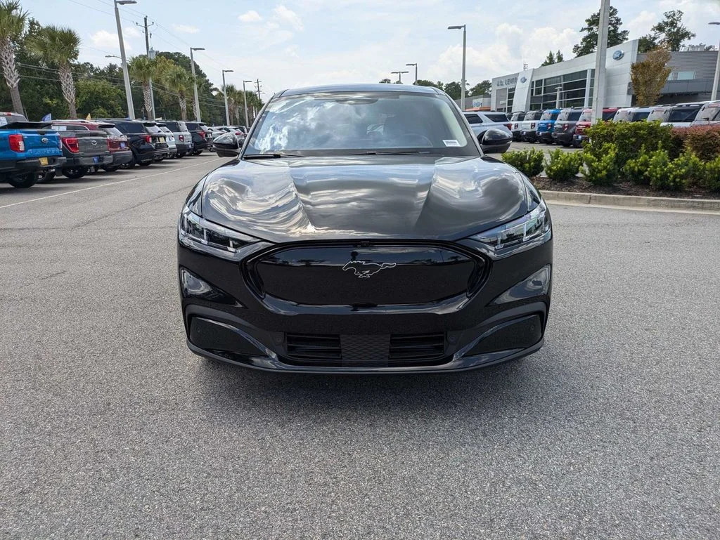 New 2026 Shadow Black Ford Premium image 9