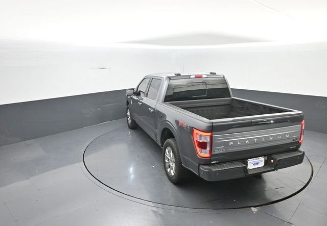 Used 2023 Gray Ford Platinum image 30