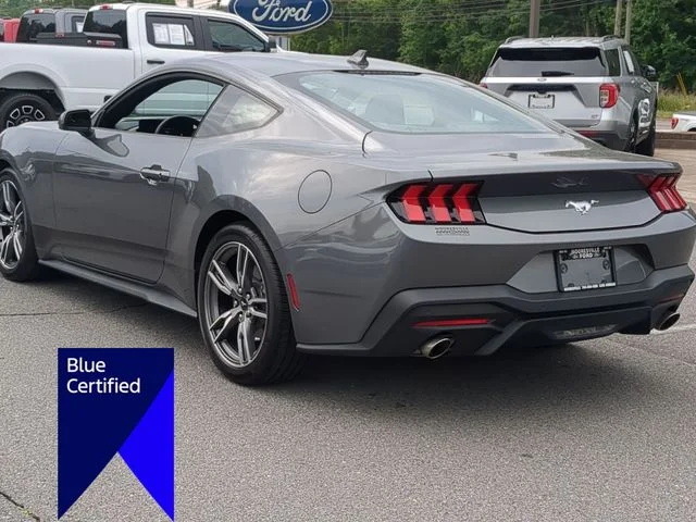 Used 2025 Gray Ford EcoBoost image 5