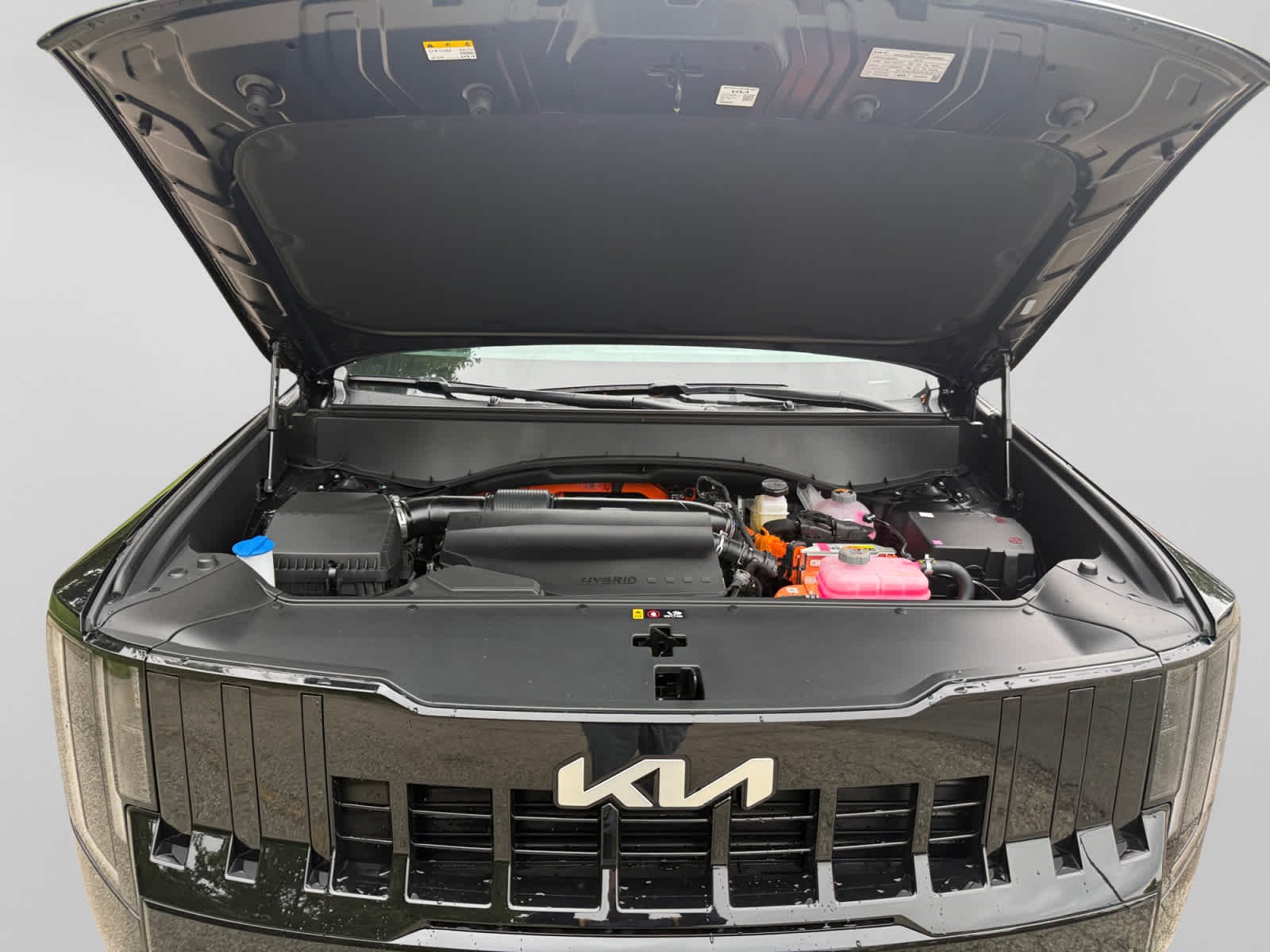 New 2027 Ebony Black Kia EX image 24