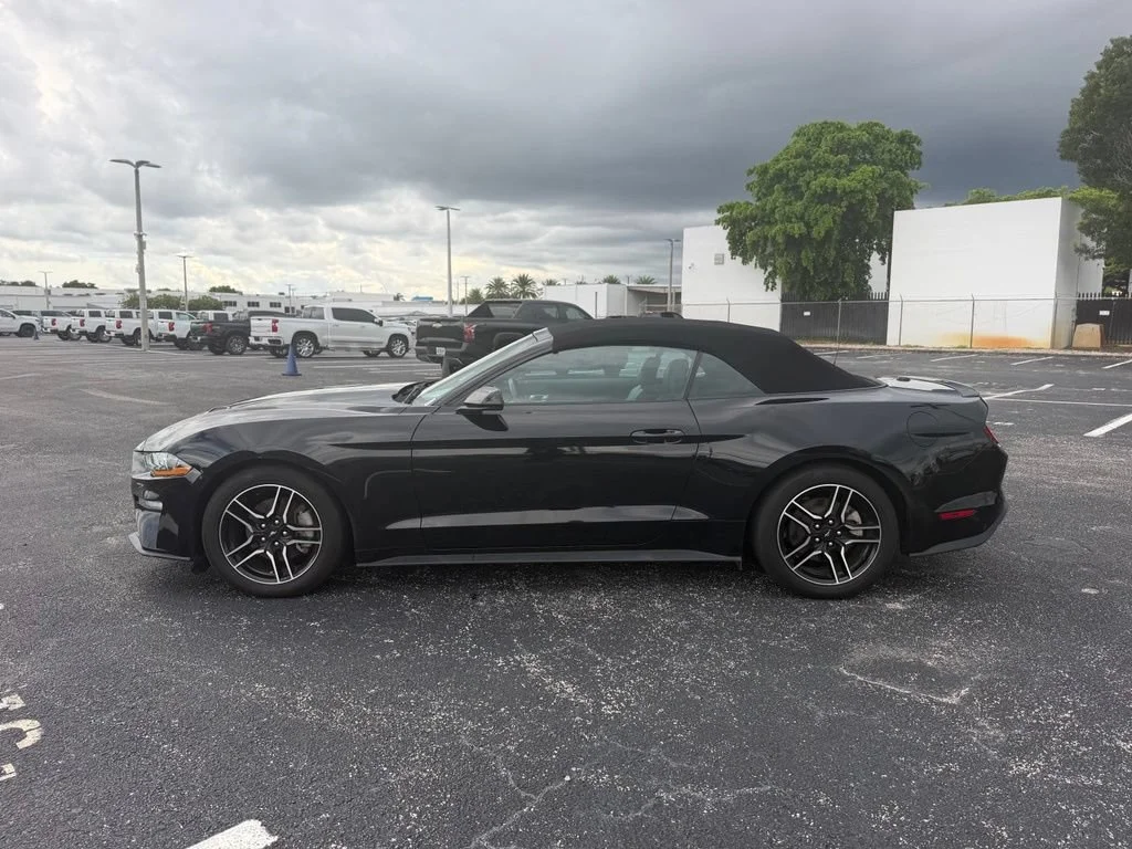 Used 2023 Black Ford EcoBoost Premium Convertible image 5