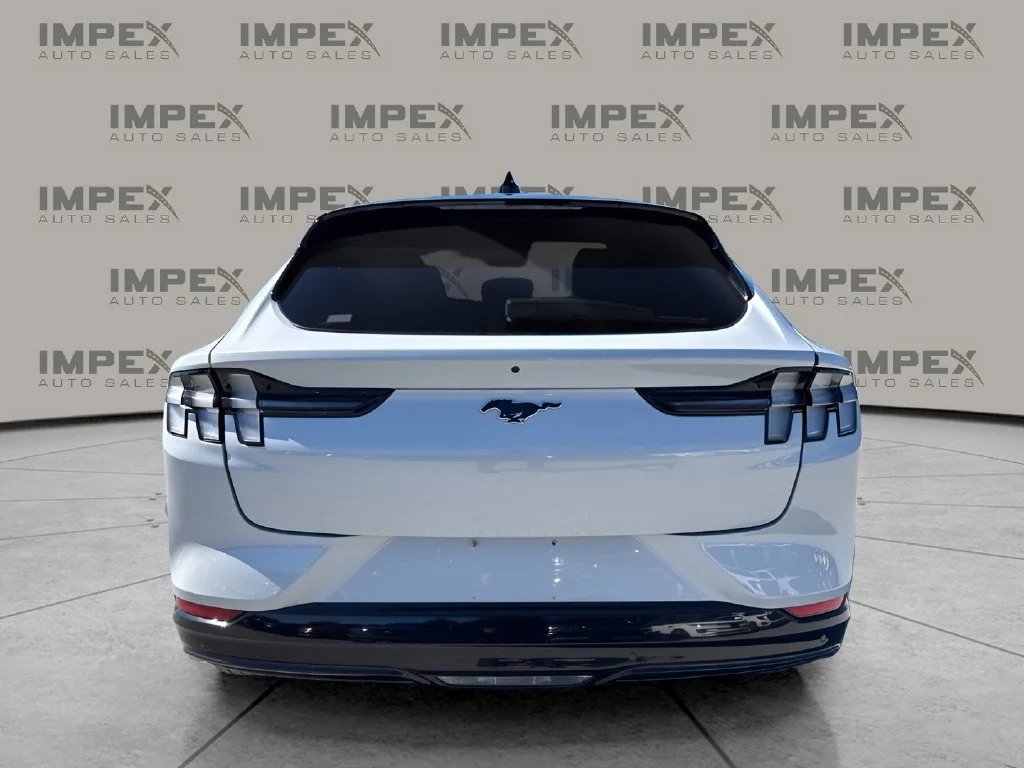 Used 2022 White Ford Premium image 4
