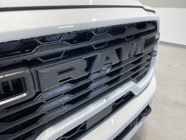 New 2026 Bright White Clear-Coat Exterior Paint RAM Black Express image 30