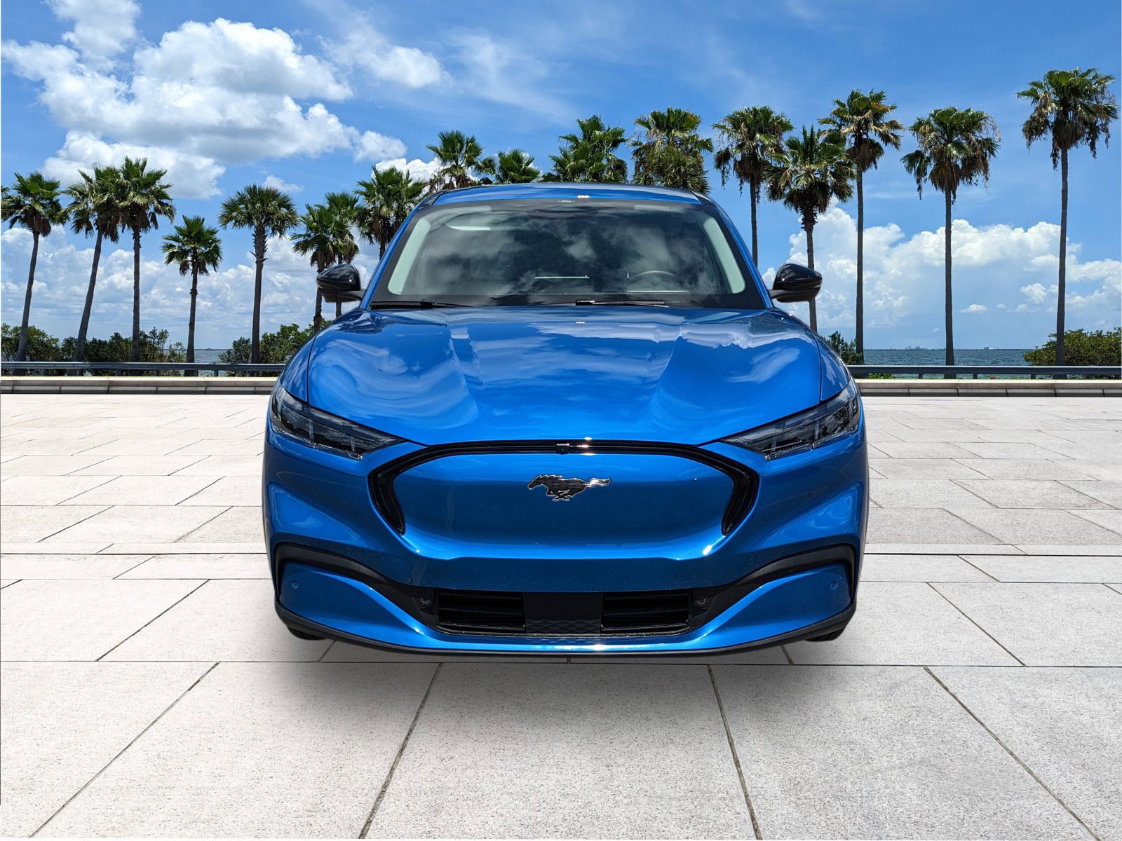 Used 2025 Ford Mustang Mach-E Premium RWD with VIN 3FMTK3R73SMA50329 for sale in Port Richey, FL