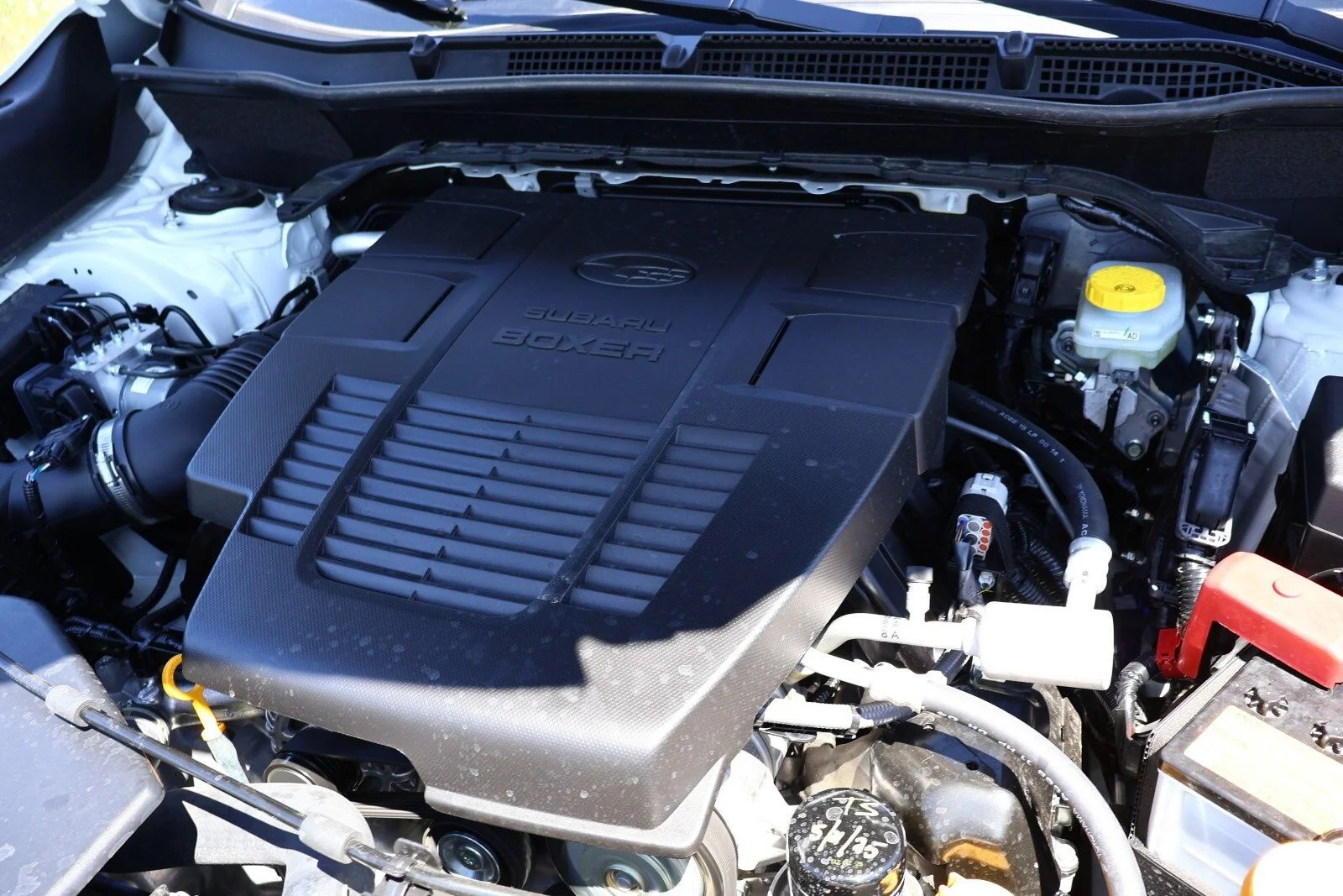 2024 Subaru Forester Wilderness - Photo 34