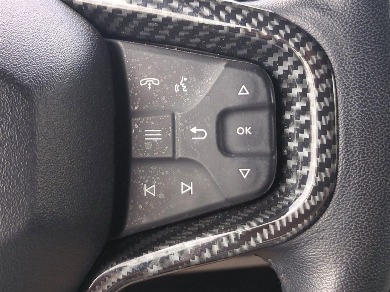 Used 2023 Cactus Gray Ford Wildtrak Advanced image 20
