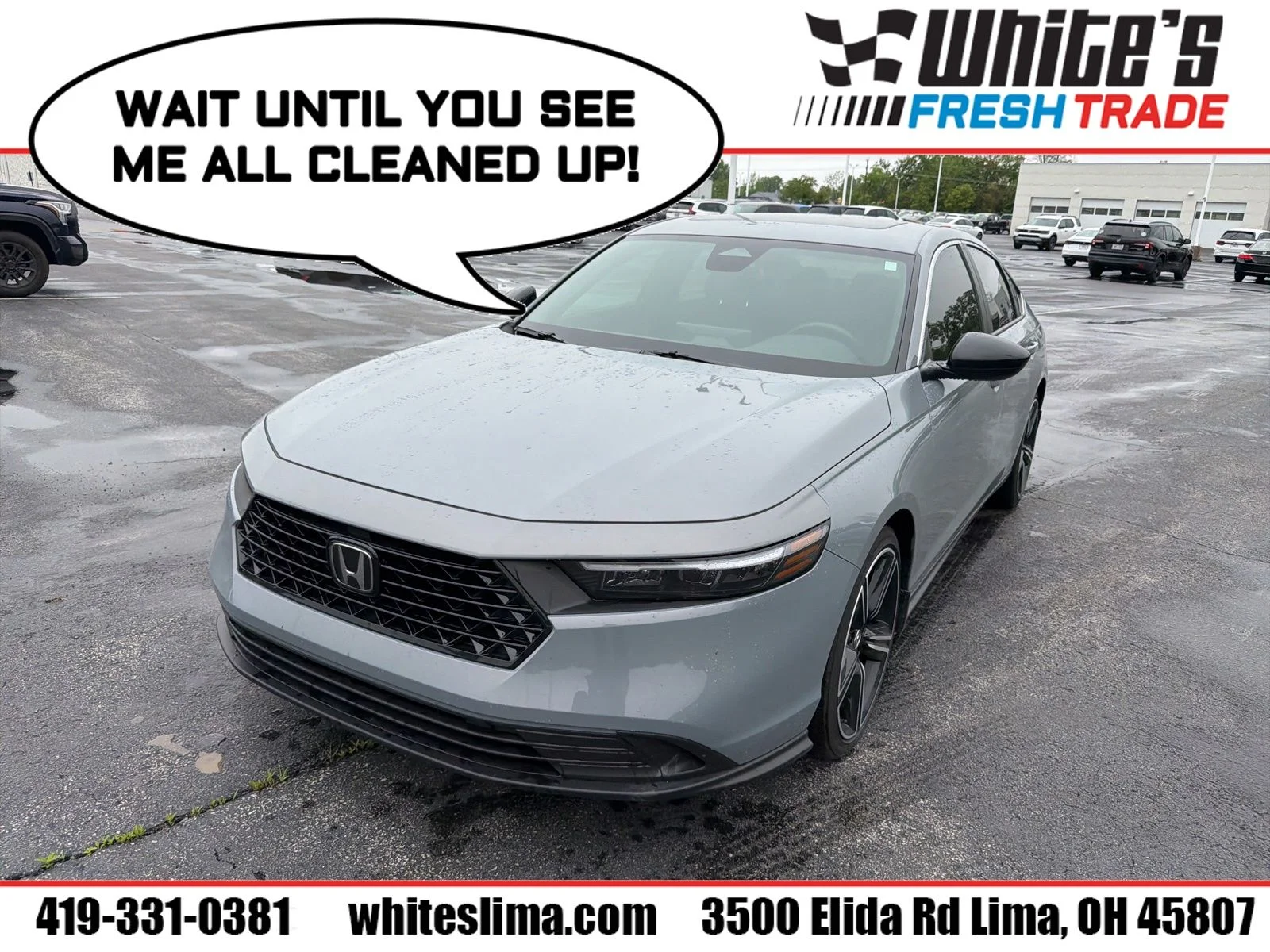 2024 Honda Accord Hybrid Sport's photo