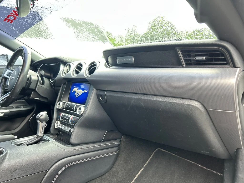 Used 2019 White Ford EcoBoost Premium image 13