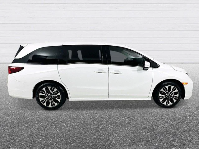 New 2027 Platinum White Pearl Honda Elite image 7