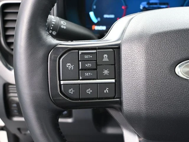 2025 Ford F-250 Super Duty Platinum - Photo 30