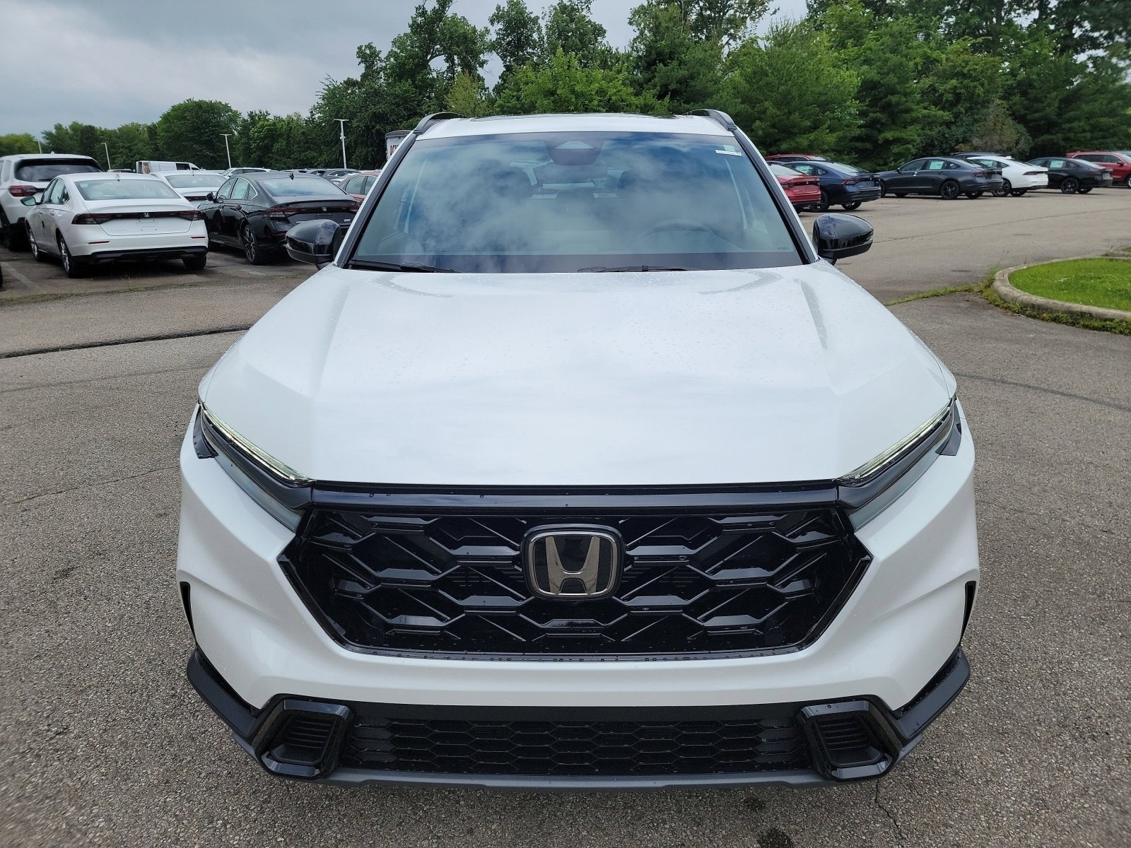 New 2026 Platinum White Pearl Honda Sport image 2