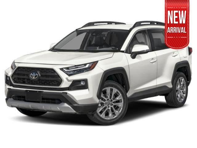 Used 2024 Ice Cap Toyota Adventure image 1