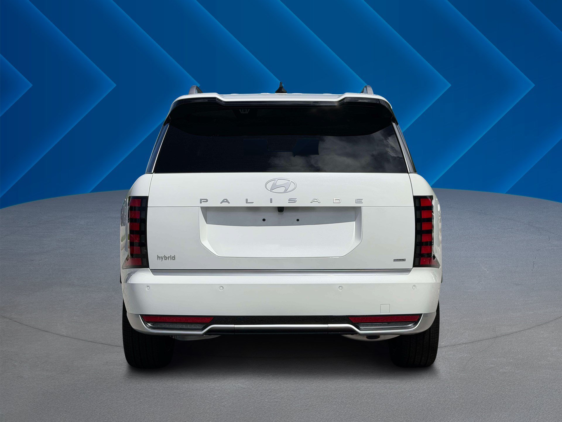 New 2027 Creamy White Pearl Hyundai Calligraphy image 7