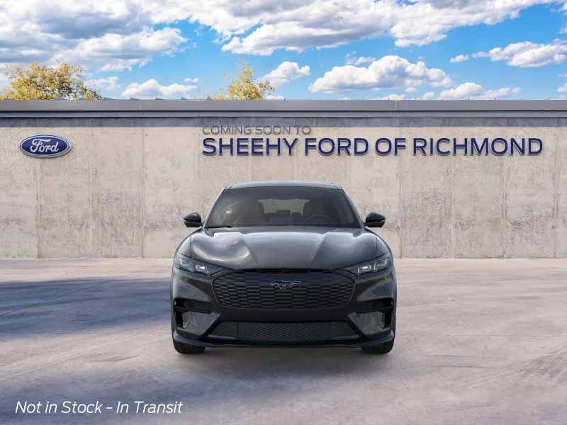 New 2026 Shadow Black Ford GT image 7