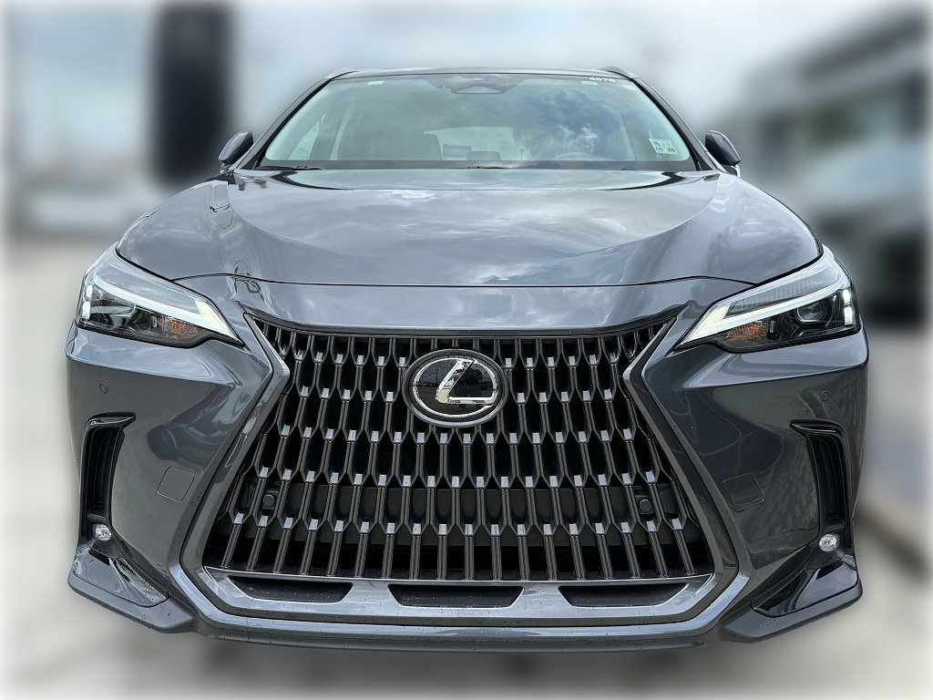 Certified Used 2025 Cloudburst Gray Lexus Premium image 2