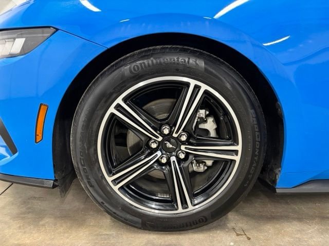 Used 2025 Blue Ford EcoBoost Premium image 9