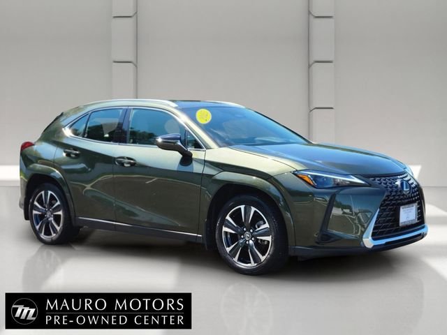 2025 Lexus UX 300h Premium