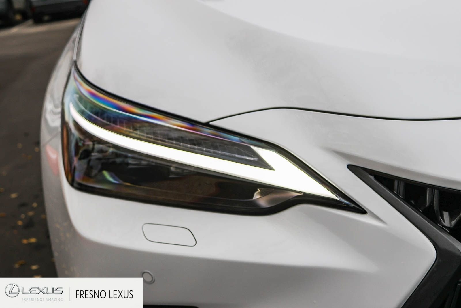 2026 Lexus NX 450h+ Luxury - Photo 10